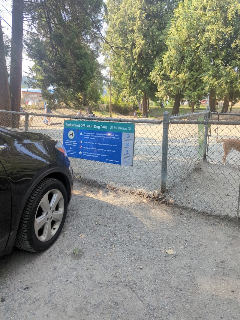 Rocky Point Off Leash Dog Park dog park in Port Moody, British Columbia