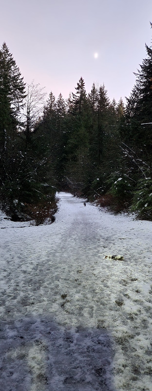 Bert Flinn Off-Leash Dog Park dog park in Port Moody, British Columbia