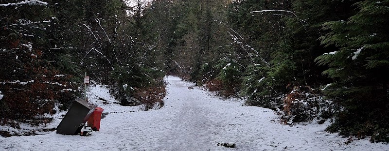 Bert Flinn Off-Leash Dog Park dog park in Port Moody, British Columbia
