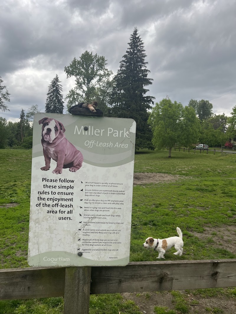 Miller Park Offleash Dog Park dog park in Coquitlam, British Columbia