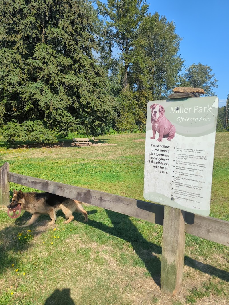Miller Park Offleash Dog Park dog park in Coquitlam, British Columbia