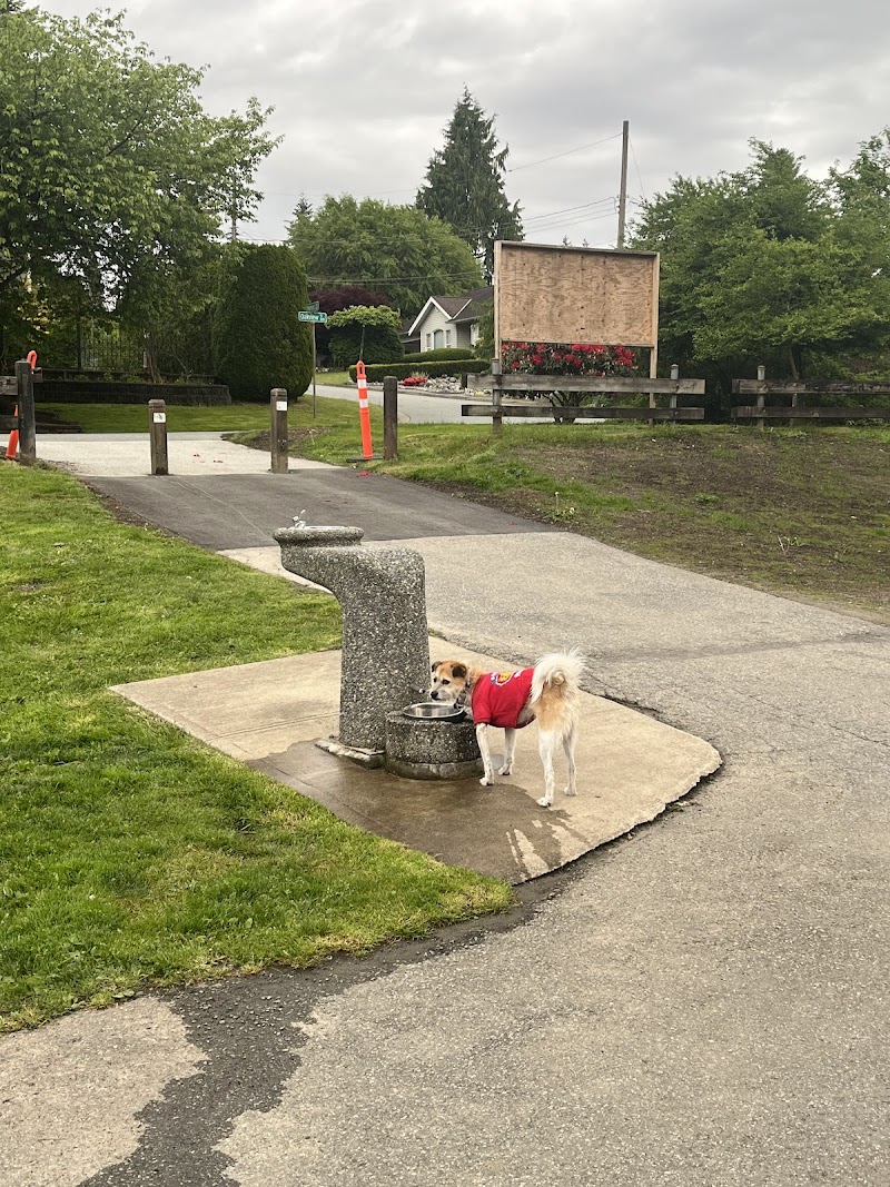 Miller Park Offleash Dog Park dog park in Coquitlam, British Columbia
