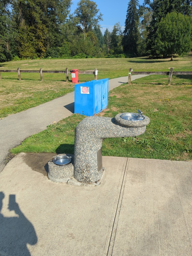 Miller Park Offleash Dog Park dog park in Coquitlam, British Columbia