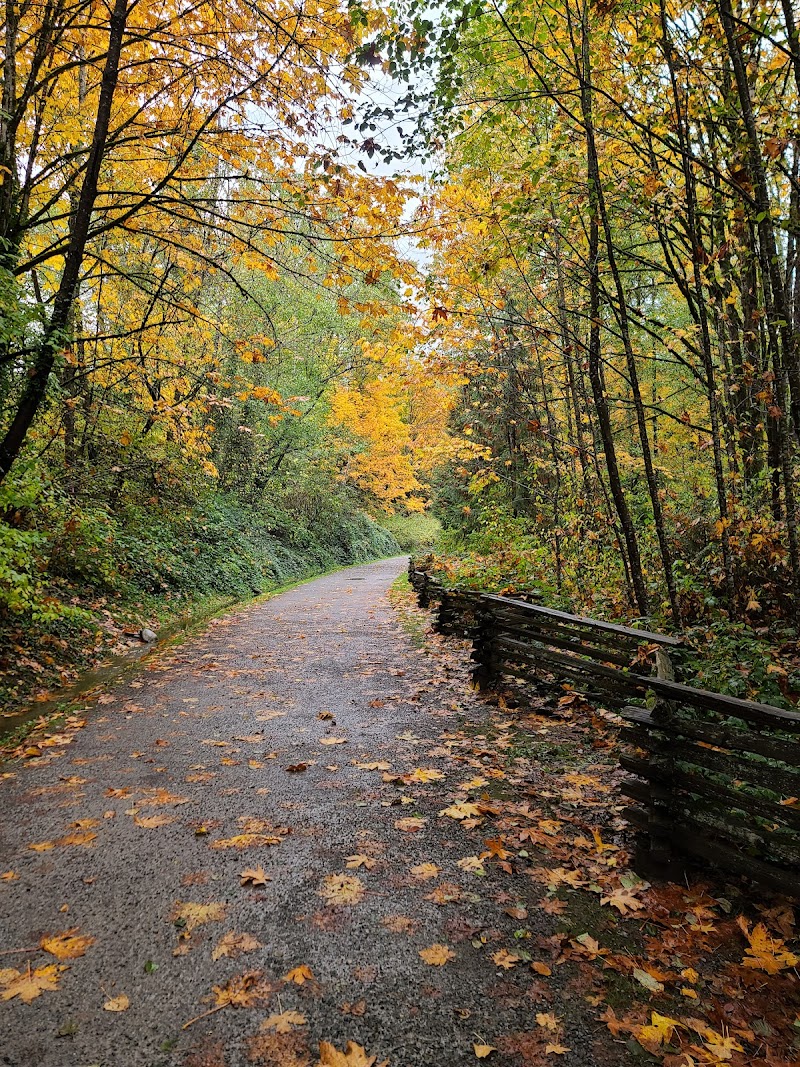 Eastlake Off Leash Dog Park dog park in Burnaby, British Columbia