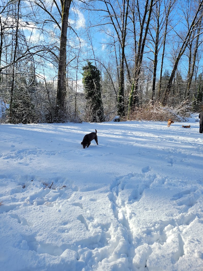 Eastlake Off Leash Dog Park dog park in Burnaby, British Columbia