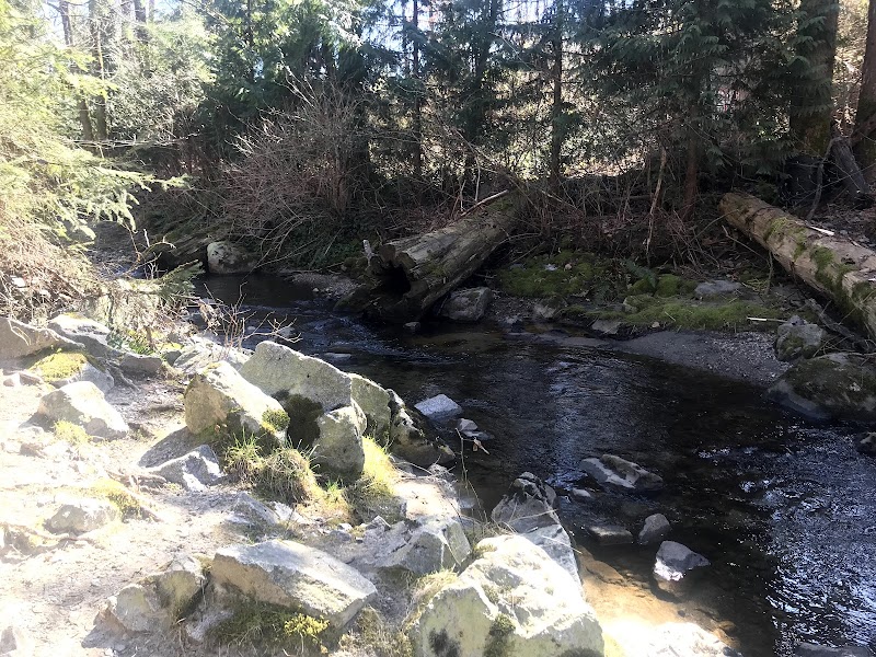 Eastlake Off Leash Dog Park dog park in Burnaby, British Columbia