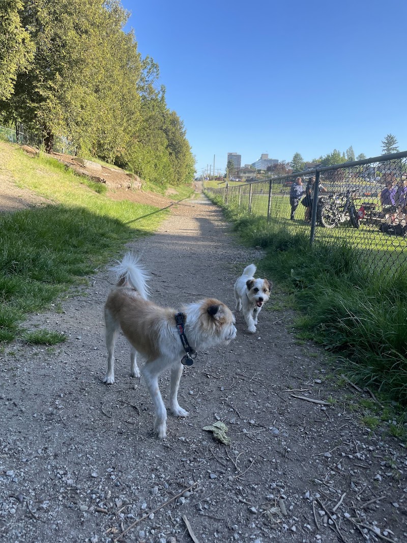 Hume Park Off-leash Dog Park dog park in New Westminster, British Columbia