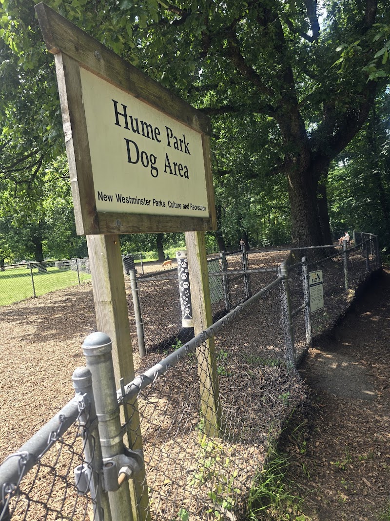 Hume Park Off-leash Dog Park dog park in New Westminster, British Columbia