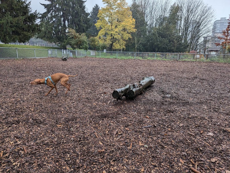 Simcoe Park Off-Leash Dog Areas dog park in New Westminster, British Columbia