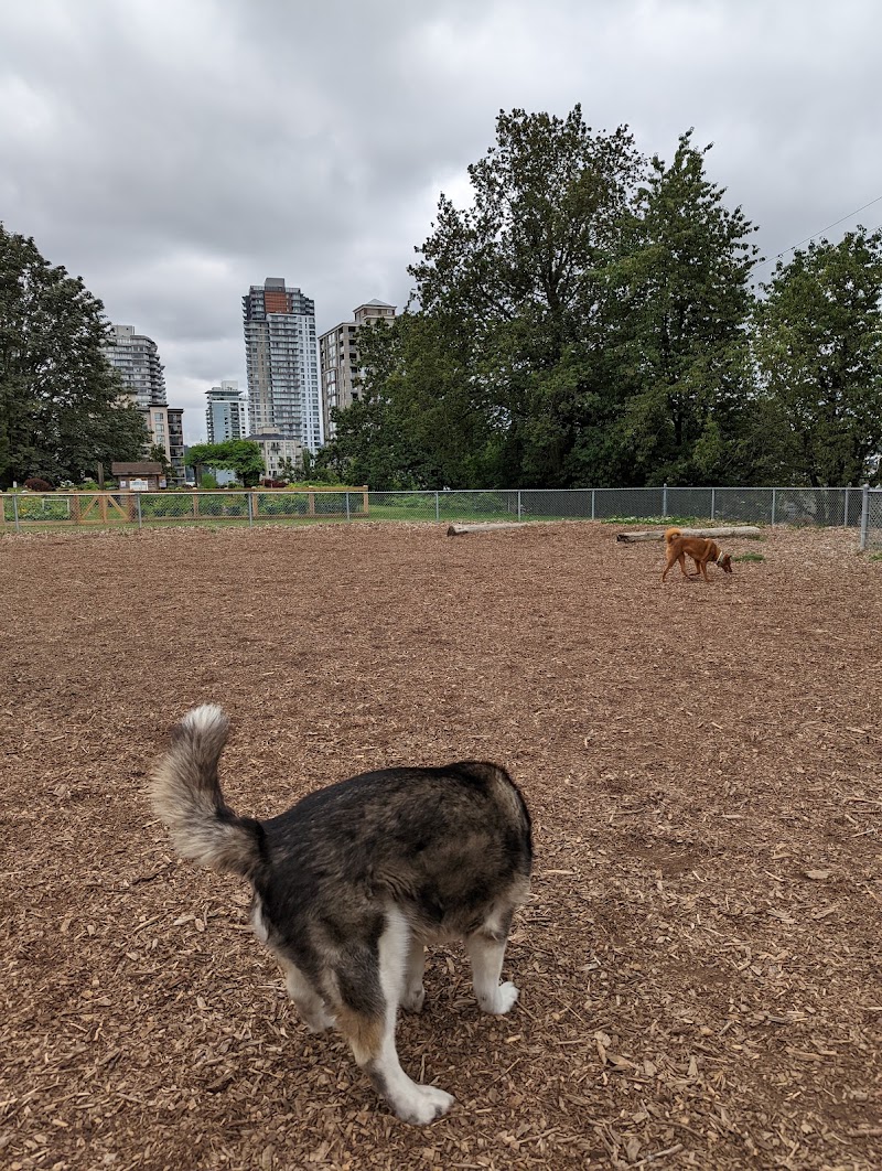 Simcoe Park Off-Leash Dog Areas dog park in New Westminster, British Columbia