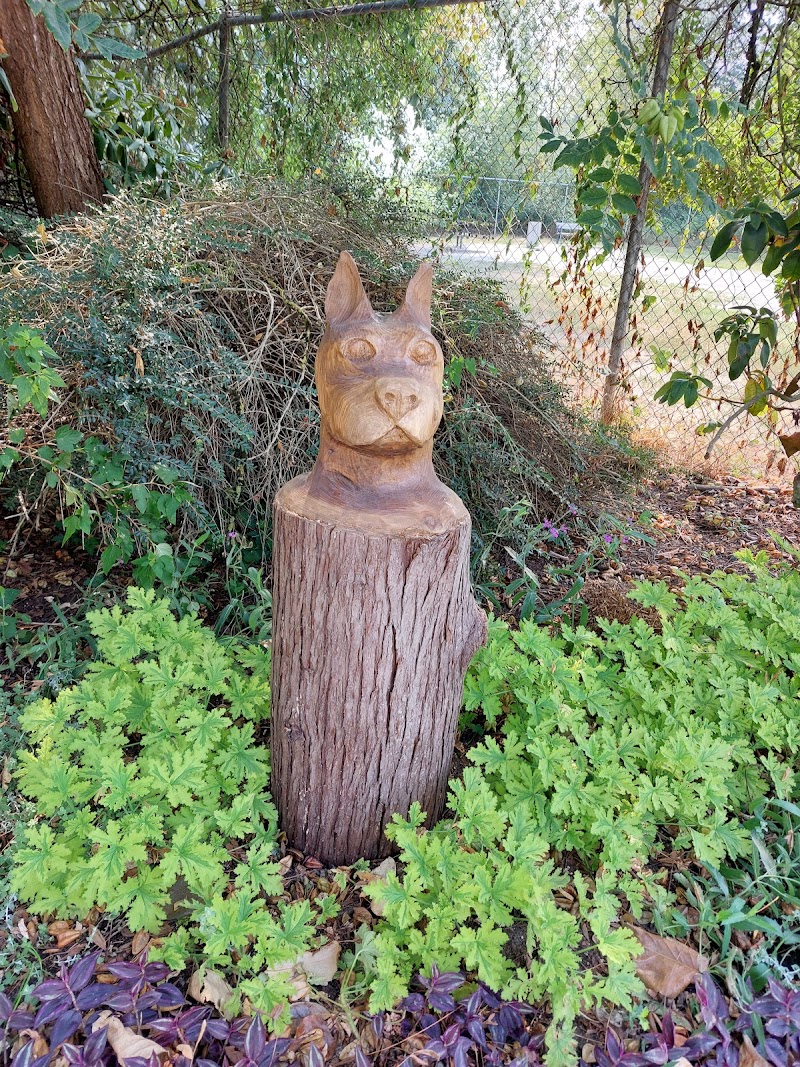 Quayside Off-Leash Dog Areas dog park in New Westminster, British Columbia