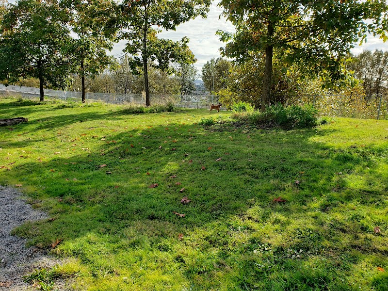 West Side Off-Leash Dog Area dog park in New Westminster, British Columbia