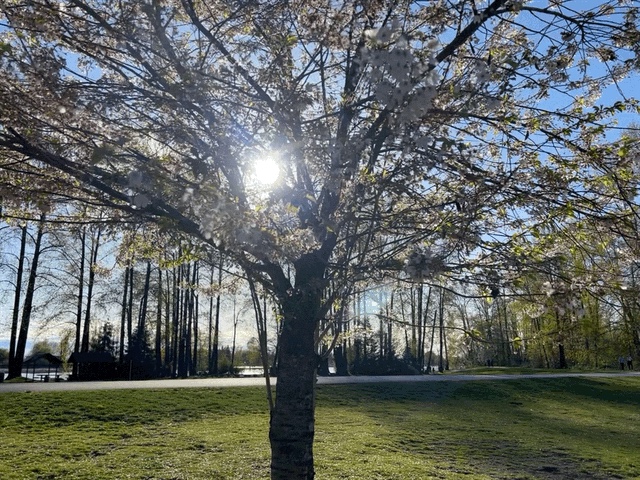 Burnaby Fraser Foreshore Off-Leash Dog Area dog park in Burnaby, British Columbia