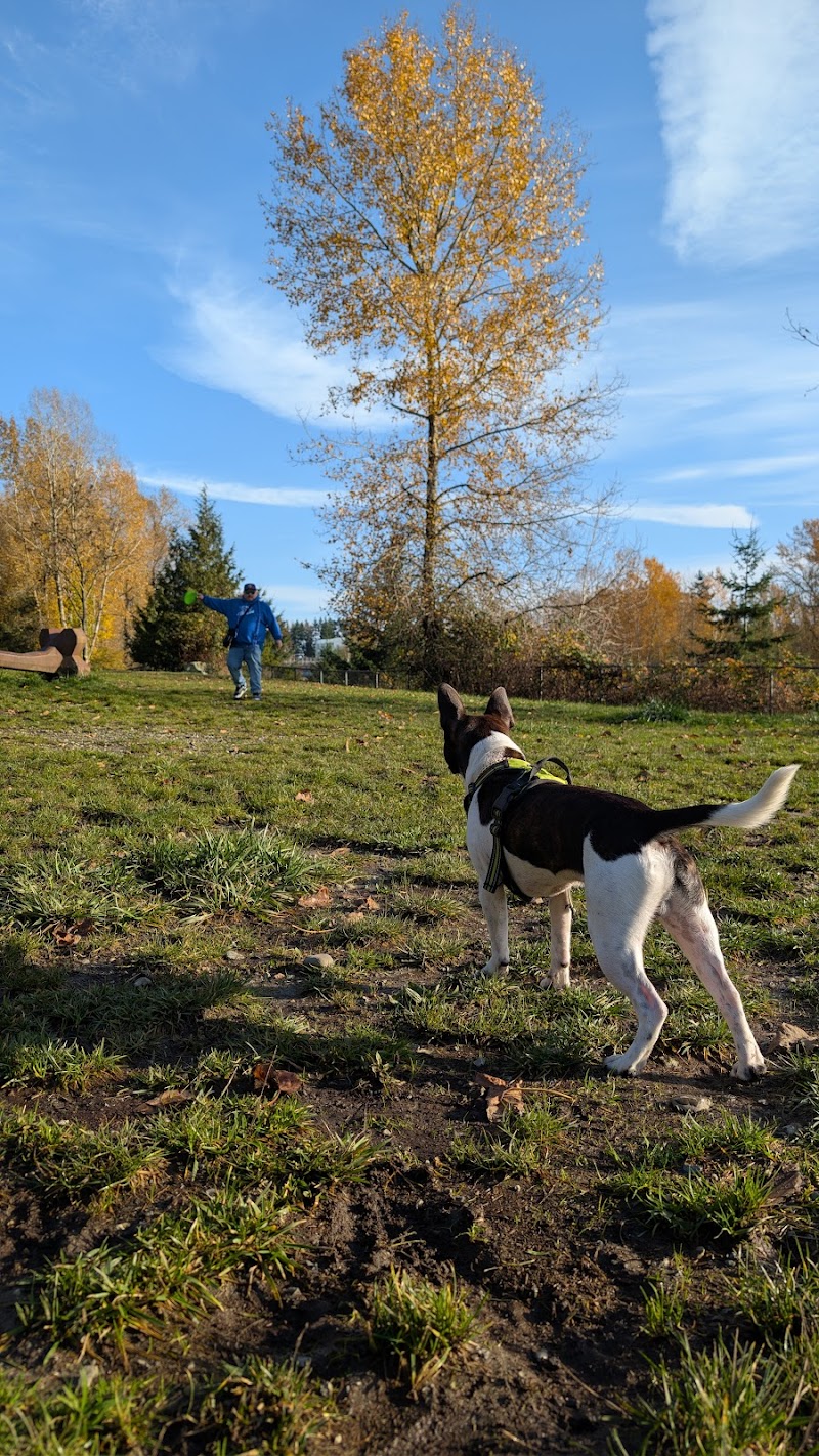 Taylor Park Dog Off-Leash Enclosure dog park in Burnaby, British Columbia