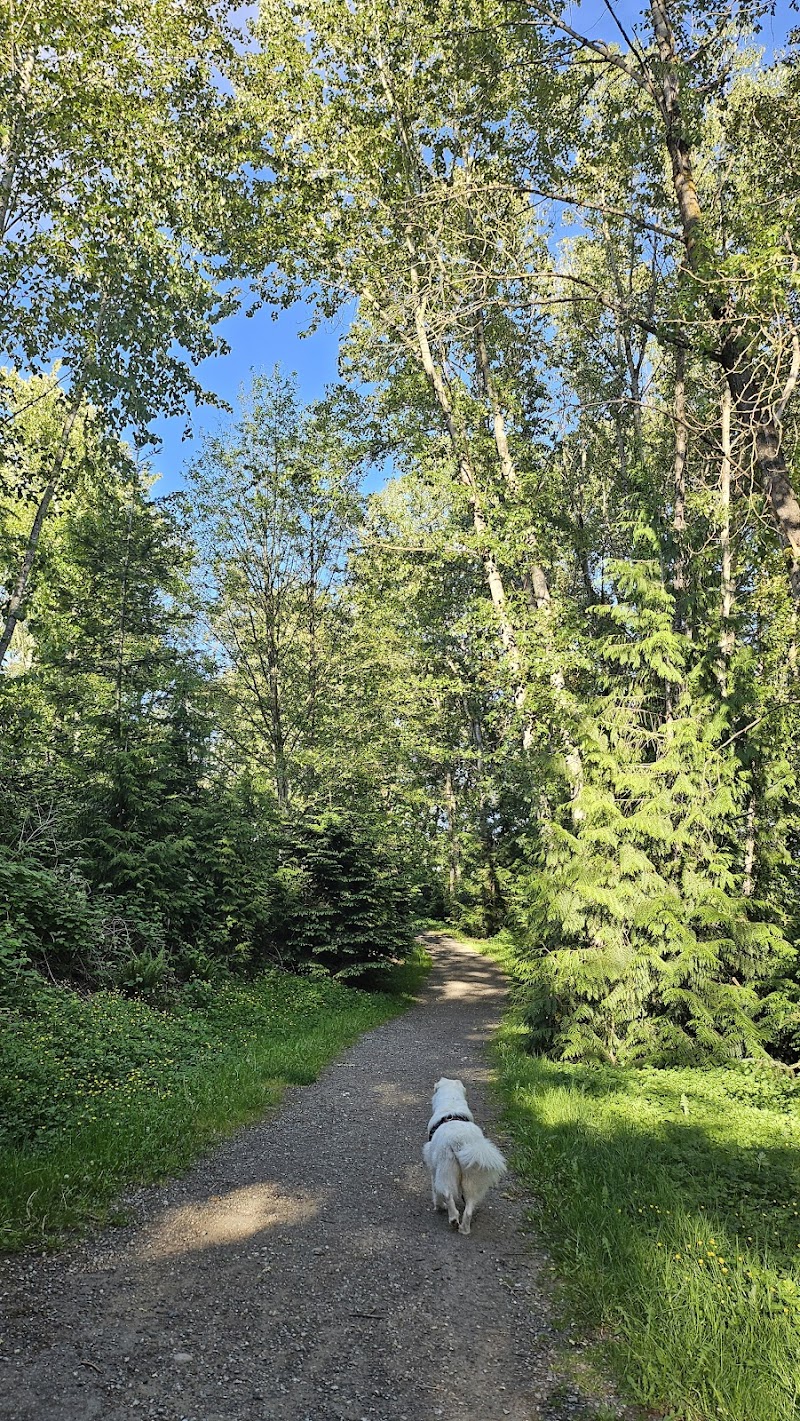 Taylor Park Dog Off-Leash Enclosure dog park in Burnaby, British Columbia