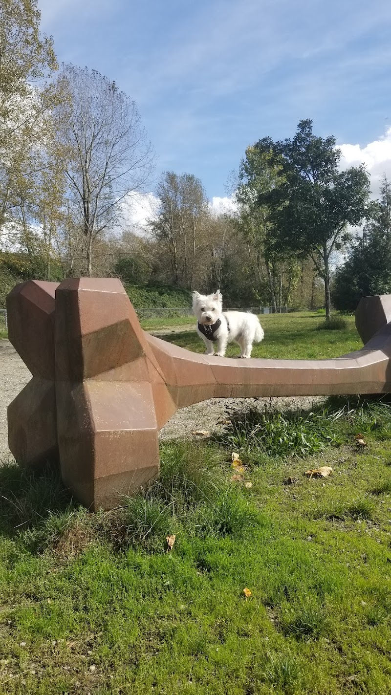 Taylor Park Dog Off-Leash Enclosure dog park in Burnaby, British Columbia