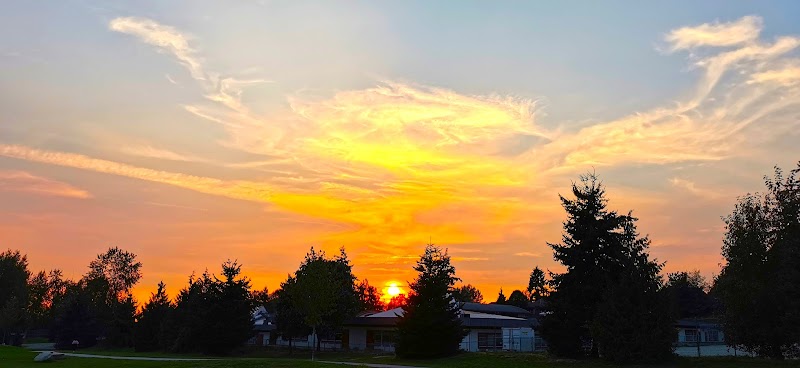 Taylor Park Dog Off-Leash Enclosure dog park in Burnaby, British Columbia