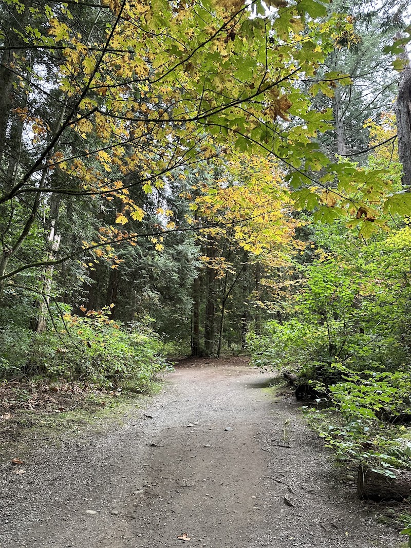 Robert Burnaby Park Dog Off-Leash area dog park in Burnaby, British Columbia