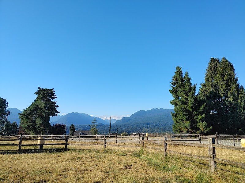 Burnaby Heights Park Off-Leash Enclosure dog park in Burnaby, British Columbia