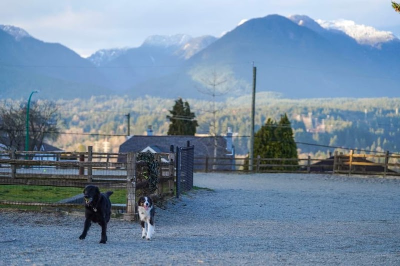 Burnaby Heights Park Off-Leash Enclosure dog park in Burnaby, British Columbia
