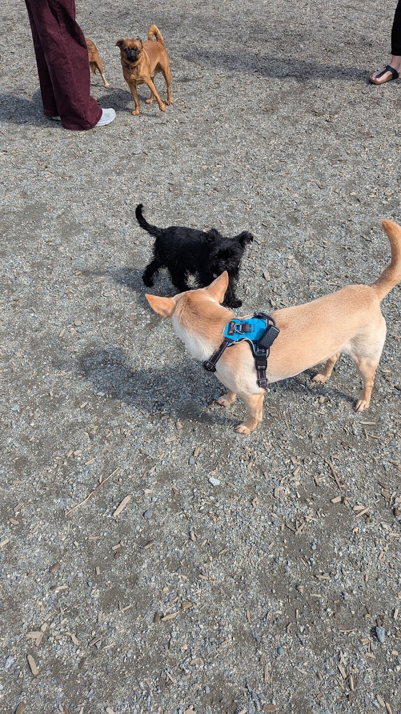 Willingdon Heights Dog Park dog park in Burnaby, British Columbia