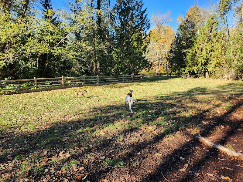 Confederation Park Dog Off-Leash Enclosure dog park in Burnaby, British Columbia