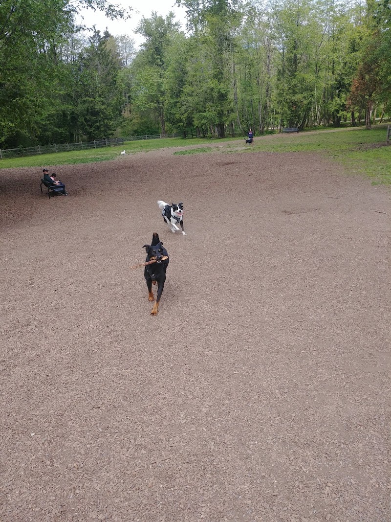 Confederation Park Dog Off-Leash Enclosure dog park in Burnaby, British Columbia