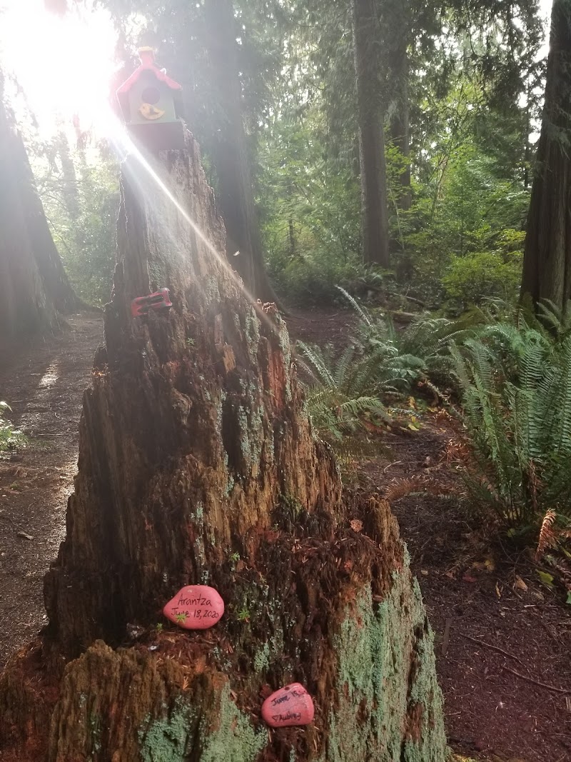 Malvern Off-Leash Dog Area dog park in Burnaby, British Columbia