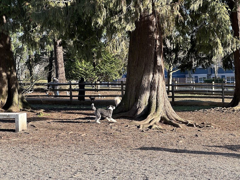 Dog Off-Leash Enclosure dog park in Burnaby, British Columbia