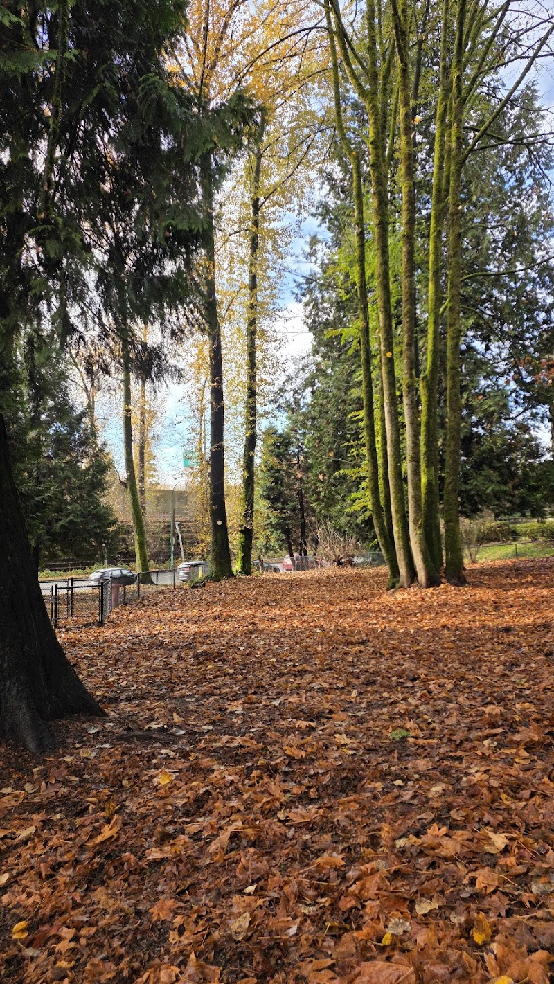 Keswick Dog Off-Lease Enclosure dog park in Burnaby, British Columbia