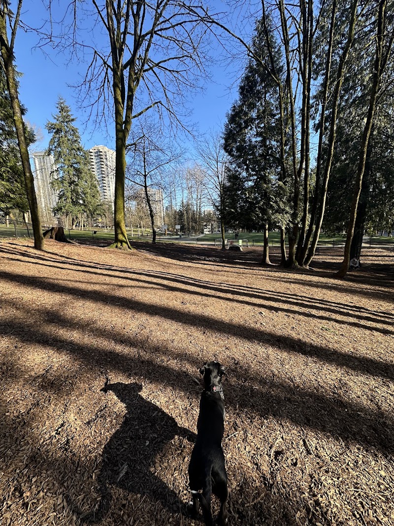 Keswick Dog Off-Lease Enclosure dog park in Burnaby, British Columbia