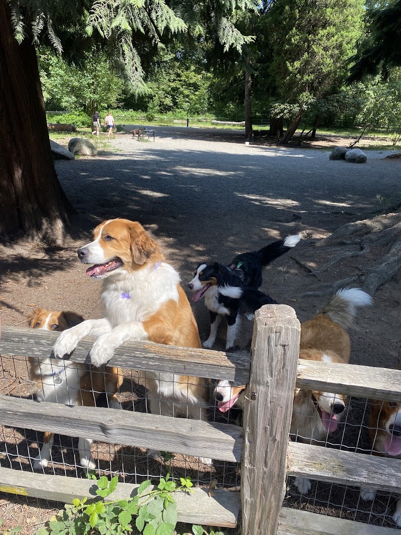 Warner Loat Park Off Leash Area dog park in Burnaby, British Columbia