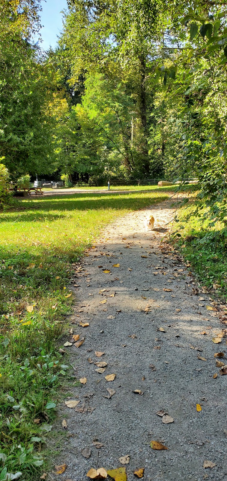 Warner Loat Park Off Leash Area dog park in Burnaby, British Columbia