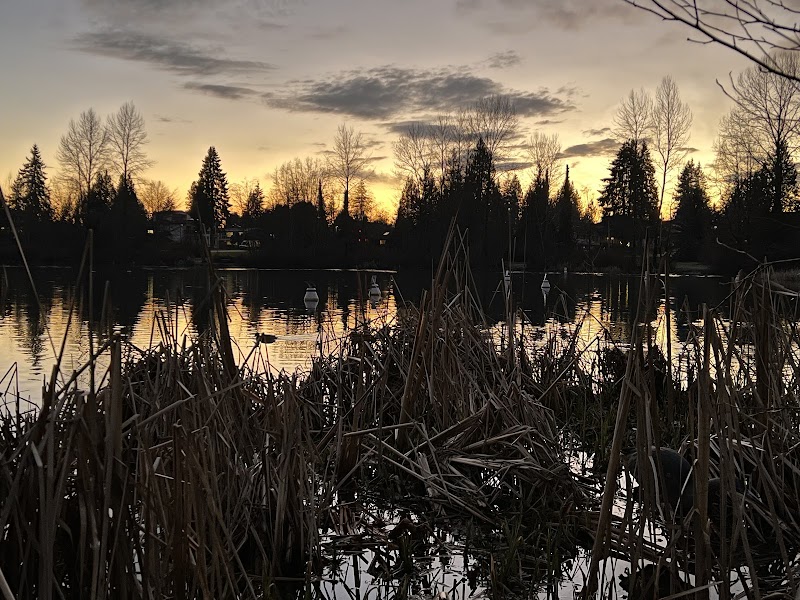Bear Creek Off Leash Park dog park in Surrey, British Columbia