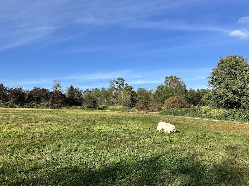 Tynehead Dog Park dog park in Surrey, British Columbia