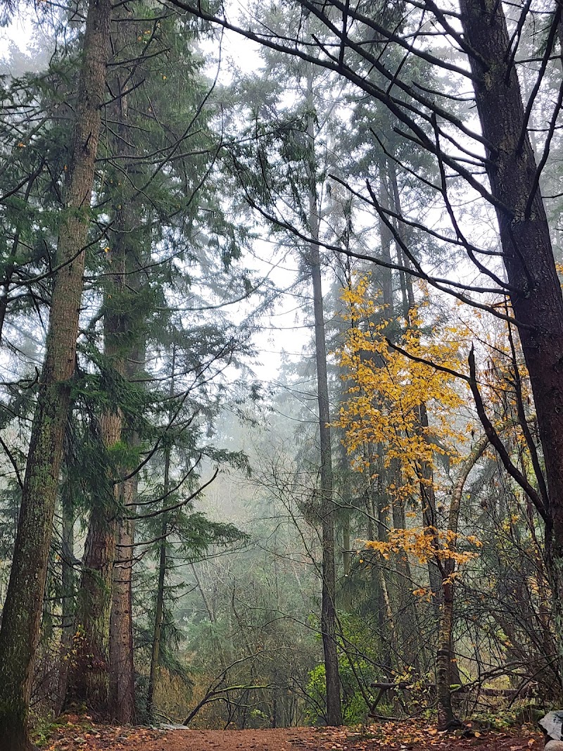 Dogwood Park Dog Off-leash Area dog park in Surrey, British Columbia