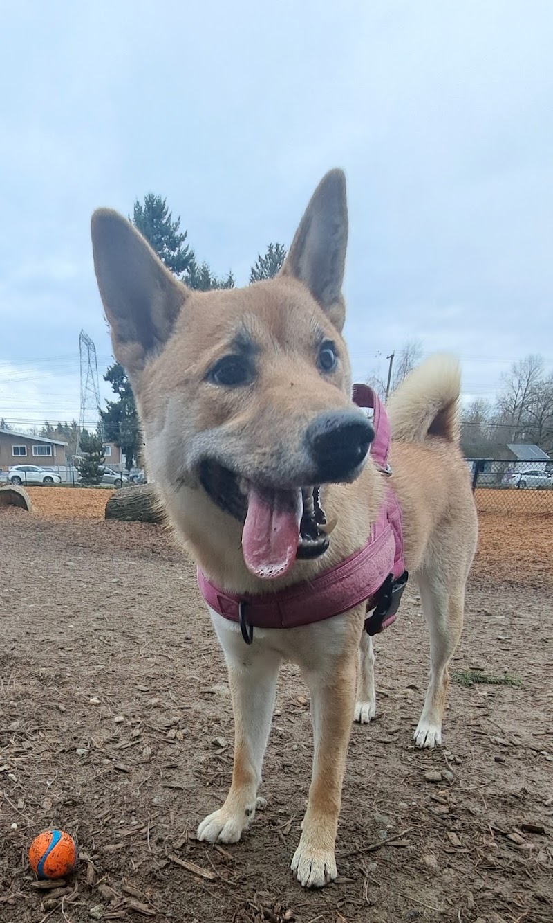 Forsyth Dog Off-Leash Area dog park in Surrey, British Columbia