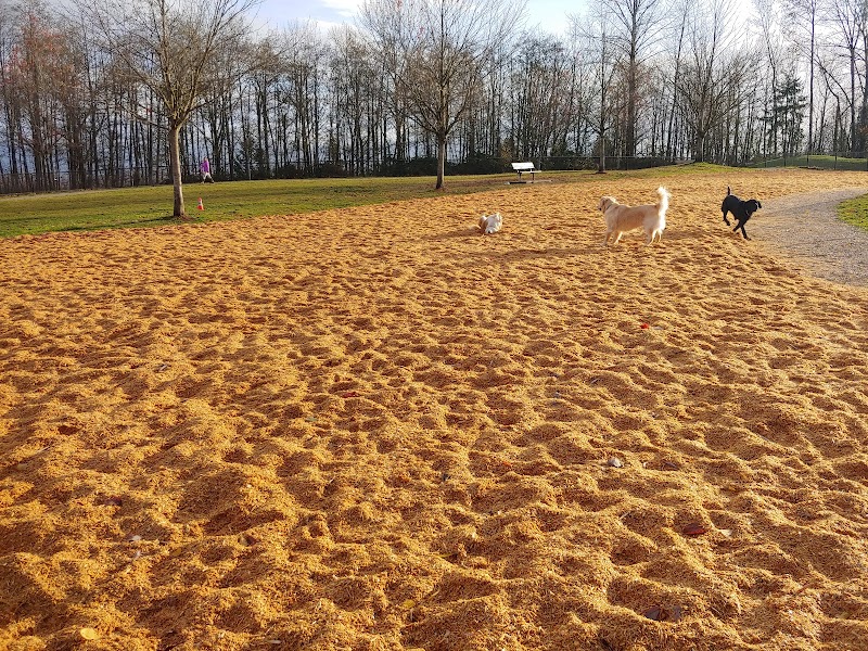Fraser View Dog Off Leash Area dog park in Surrey, British Columbia