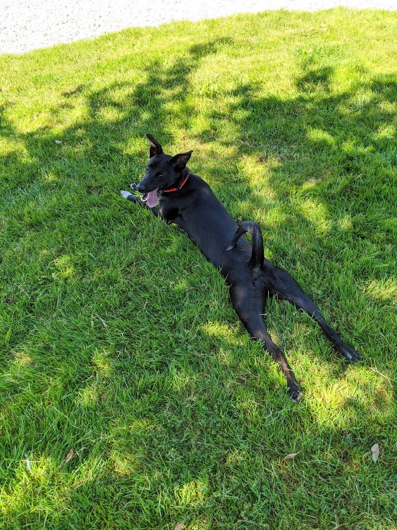 Fraser View Dog Off Leash Area dog park in Surrey, British Columbia