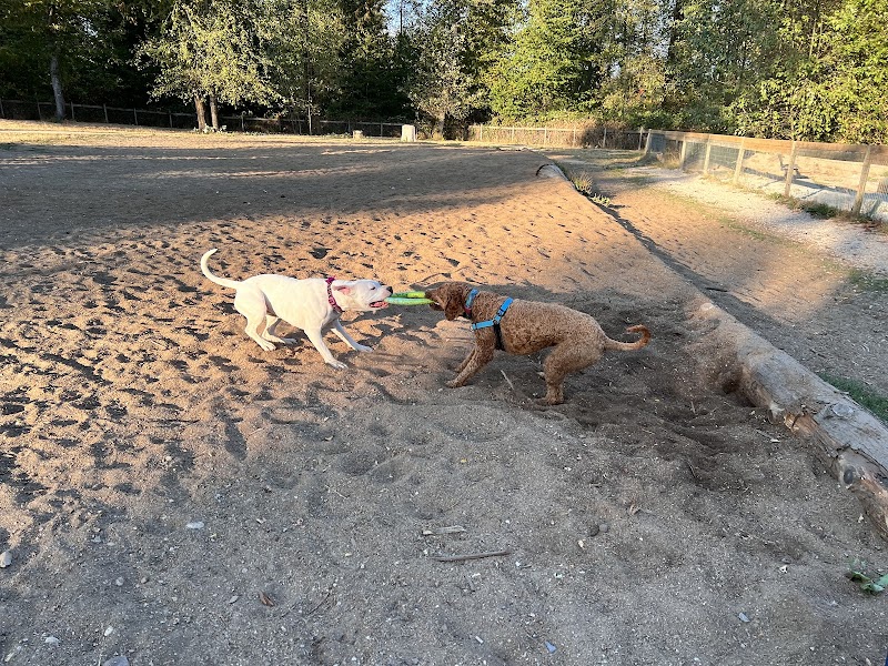 Kennedy Dog Off-Leash Area dog park in Surrey, British Columbia