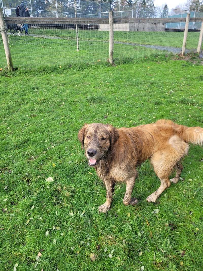 Kennedy Dog Off-Leash Area dog park in Surrey, British Columbia