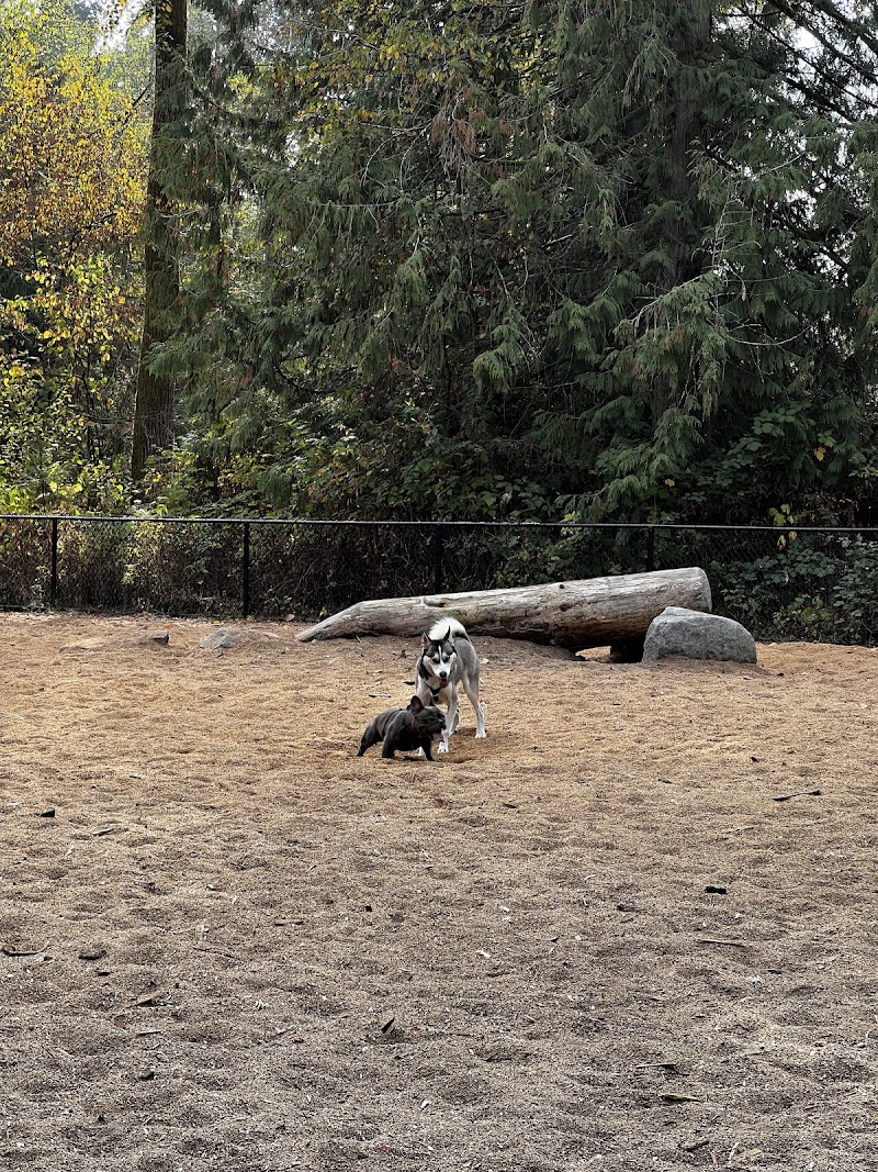 Hawthorne Dog Off-Leash Area dog park in Surrey, British Columbia