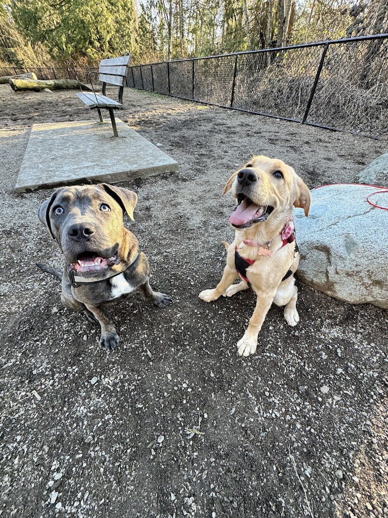 Hawthorne Dog Off-Leash Area dog park in Surrey, British Columbia