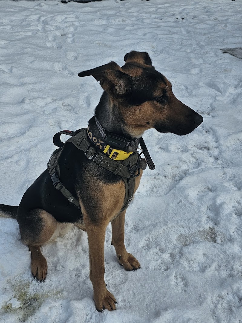 Hawthorne Dog Off-Leash Area dog park in Surrey, British Columbia