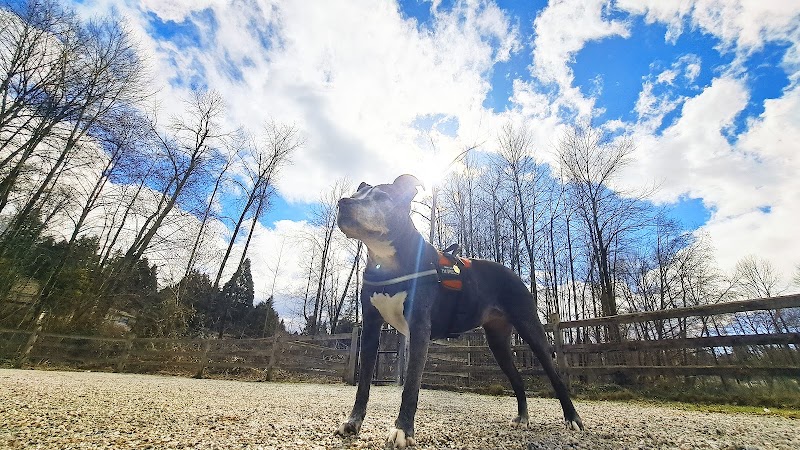 Bolivar Dog Off-leash Area dog park in Surrey, British Columbia