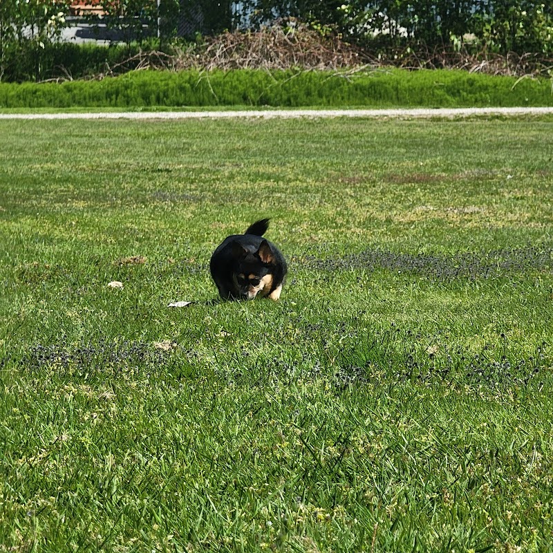 Bolivar Dog Off-leash Area dog park in Surrey, British Columbia