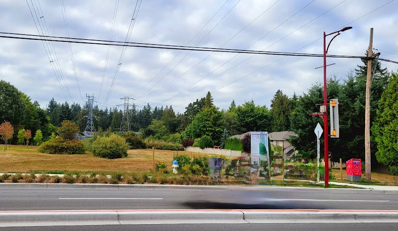 Cougar Canyon Environmental Reserve Off-leash Dog Park dog park in Delta, British Columbia