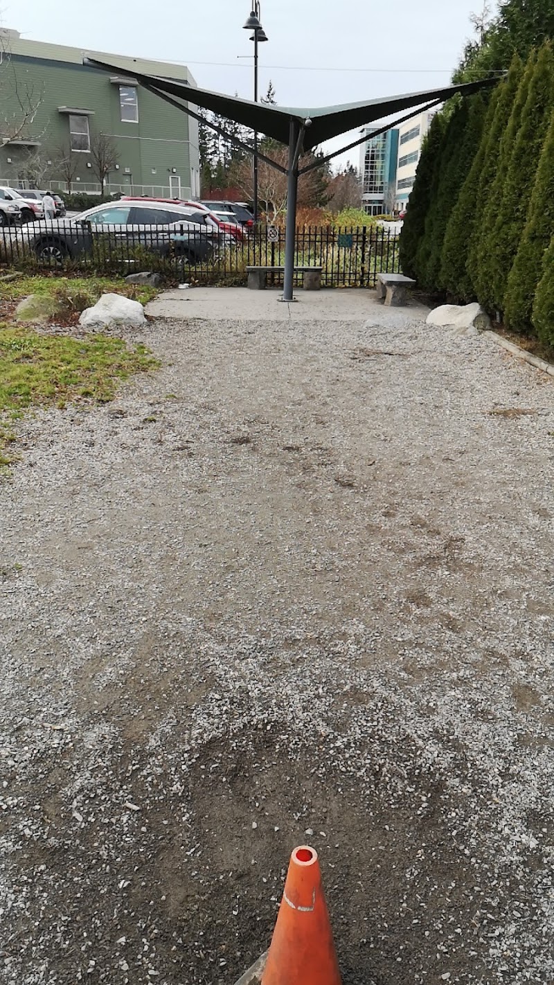 Morgan crossing dog park dog park in Surrey, British Columbia