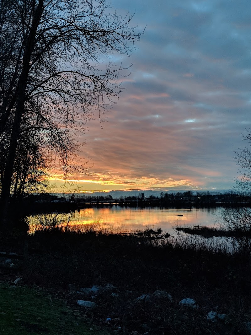 Tannery Park Dog Off-leash Area dog park in Surrey, British Columbia