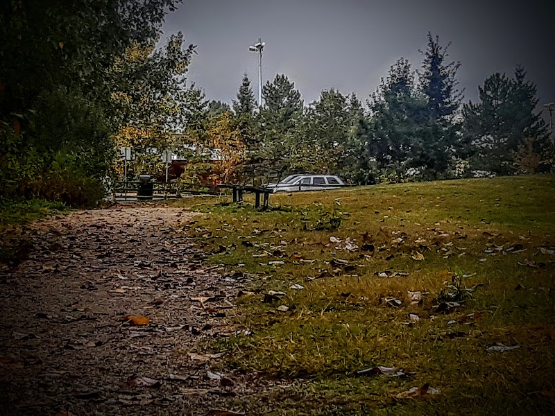 Tannery Park Dog Off-leash Area dog park in Surrey, British Columbia